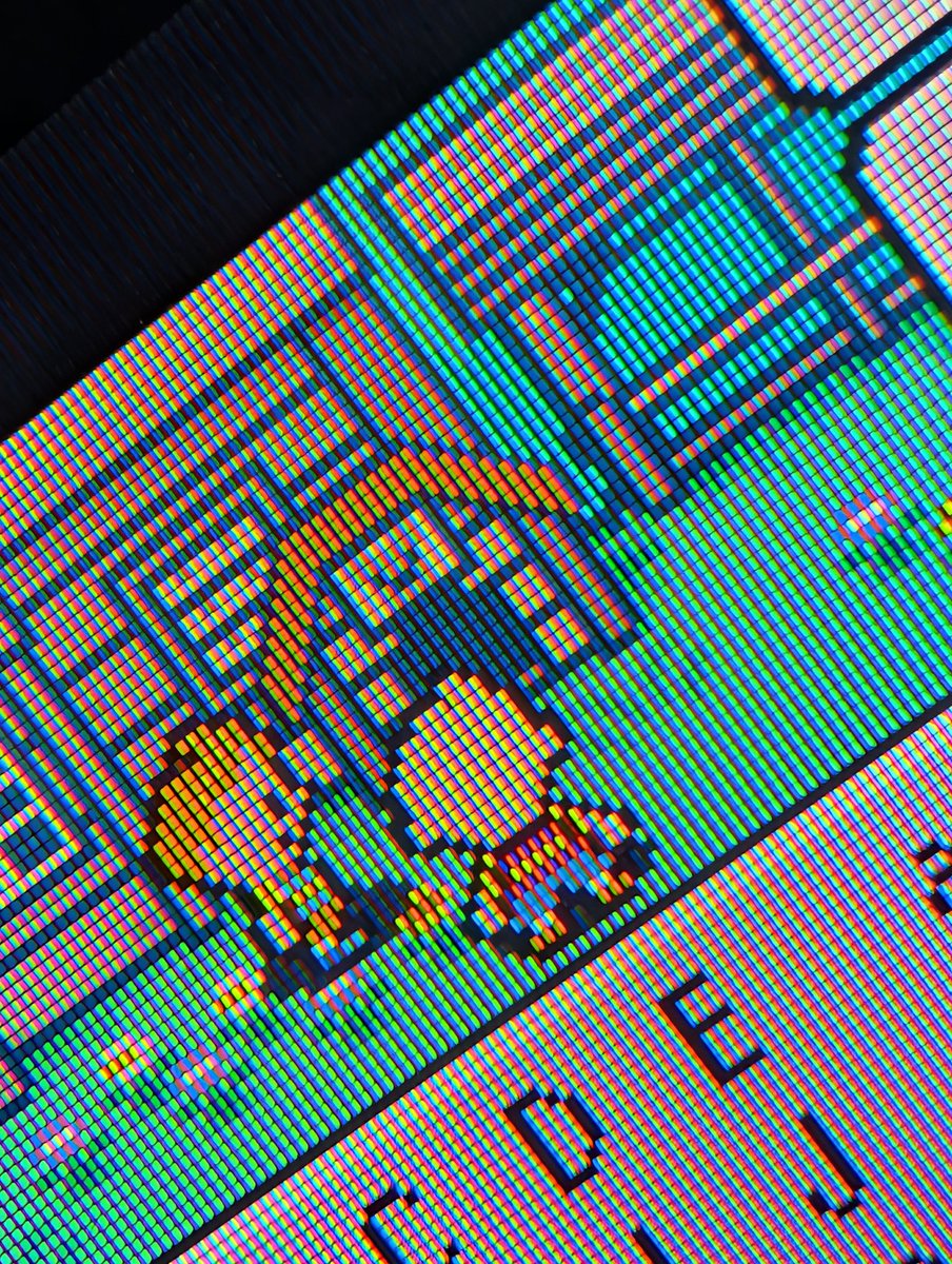 Robbeh 🛸🚀 tweet media