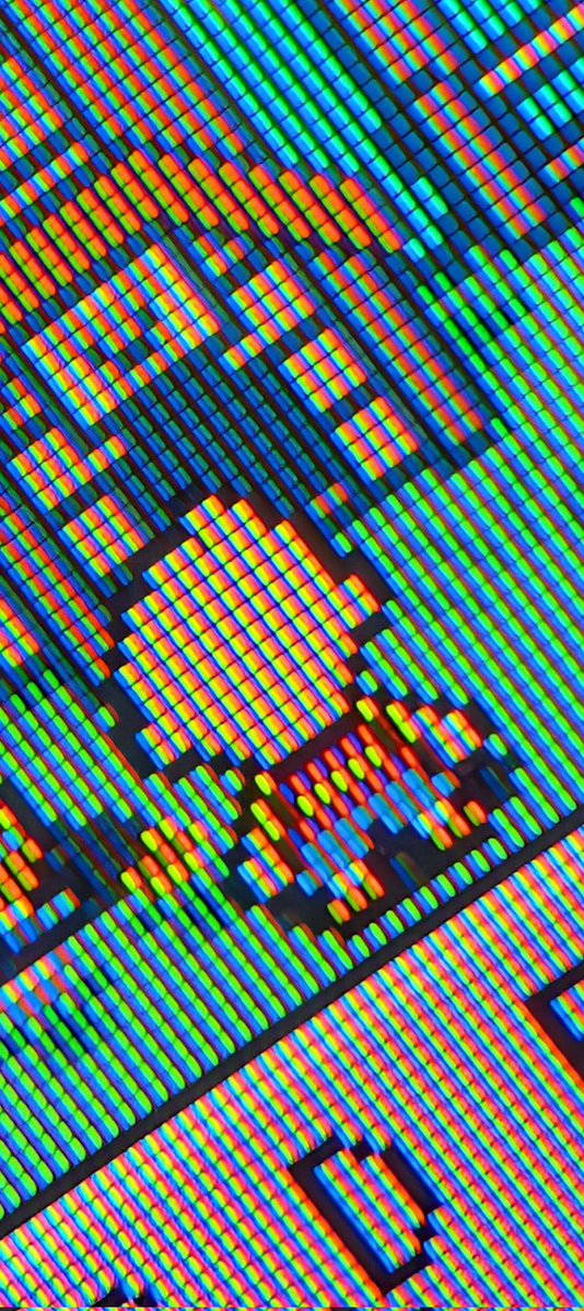 Robbeh 🛸🚀 tweet media