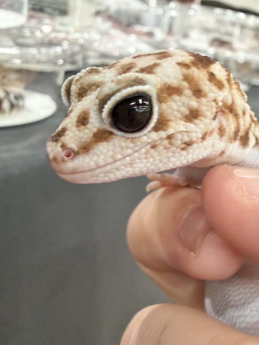 のの💌 tweet media