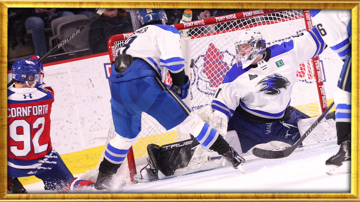Moncton Wildcats tweet media