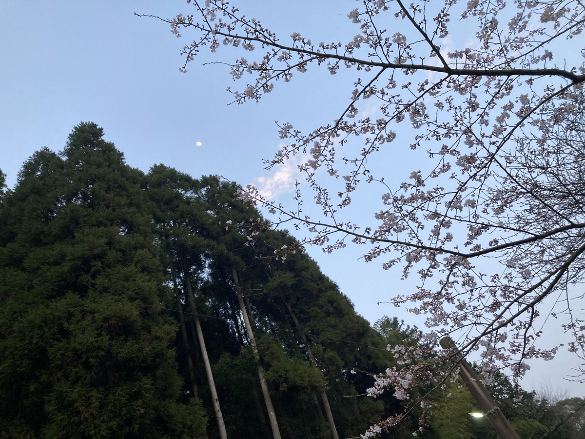 五味伸之 tweet media
