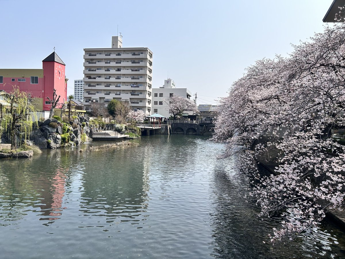 かみしたともや tweet media