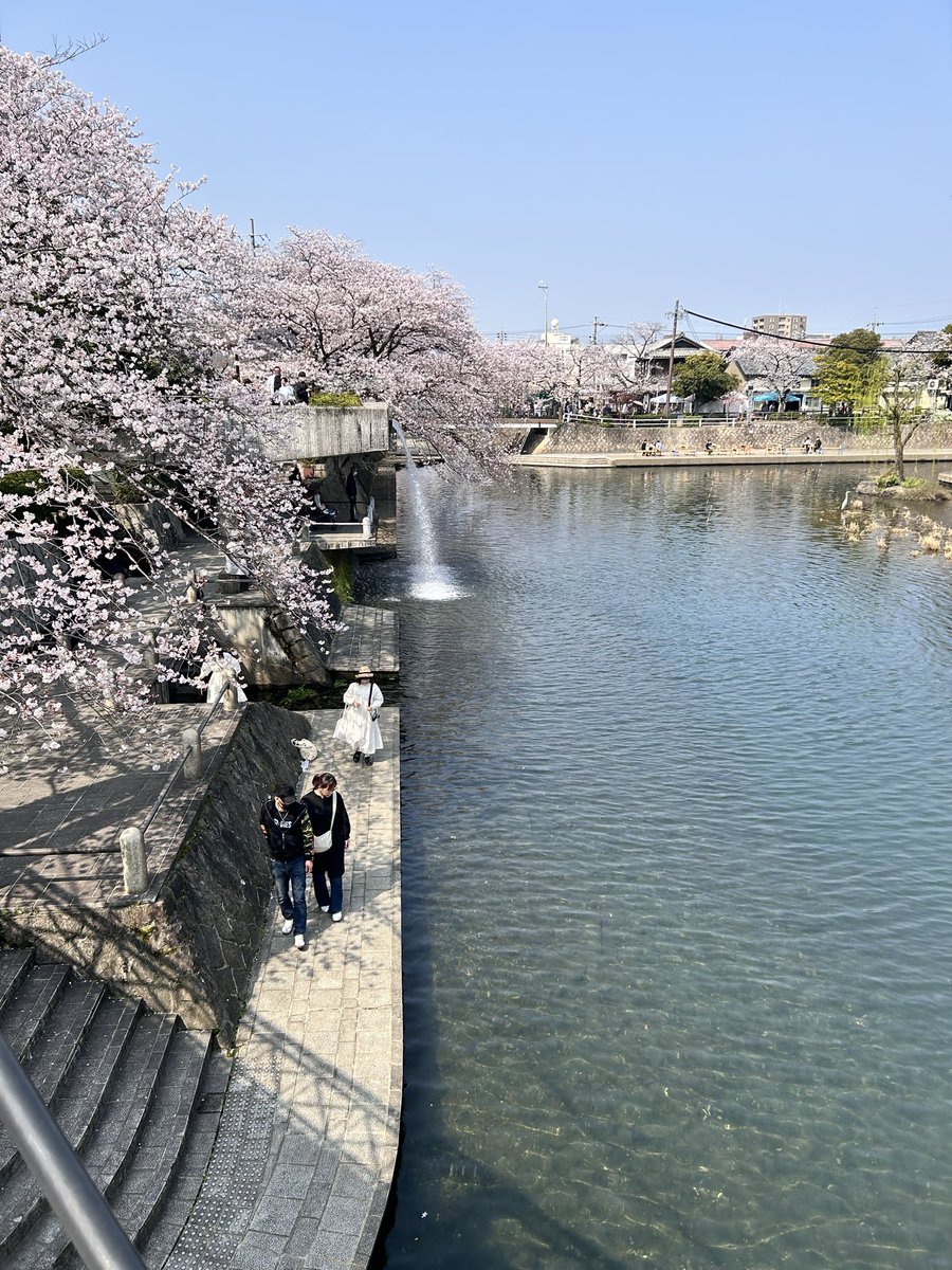 かみしたともや tweet media