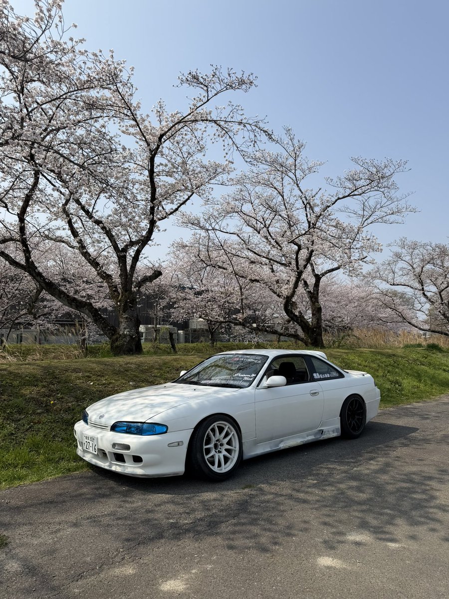 れおん tweet media