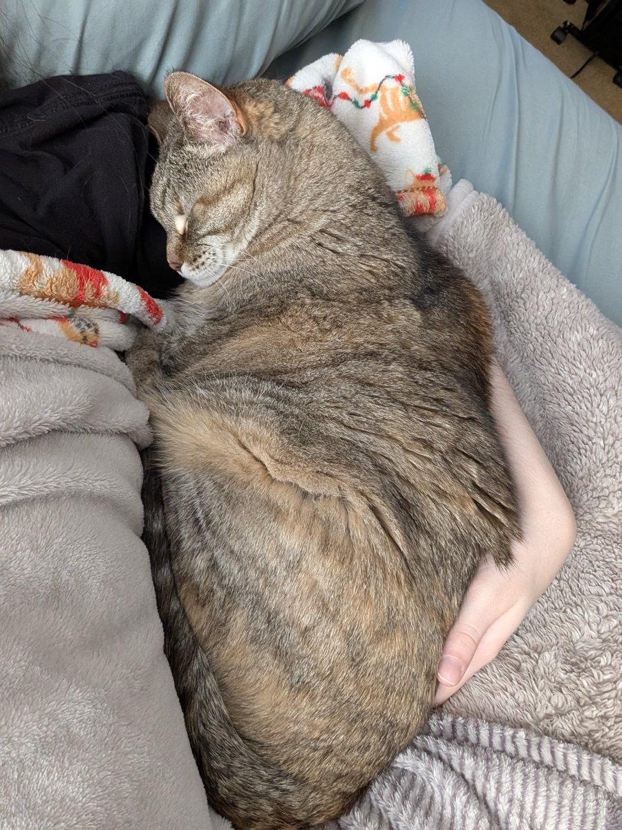 hazel 𖹭 tweet media