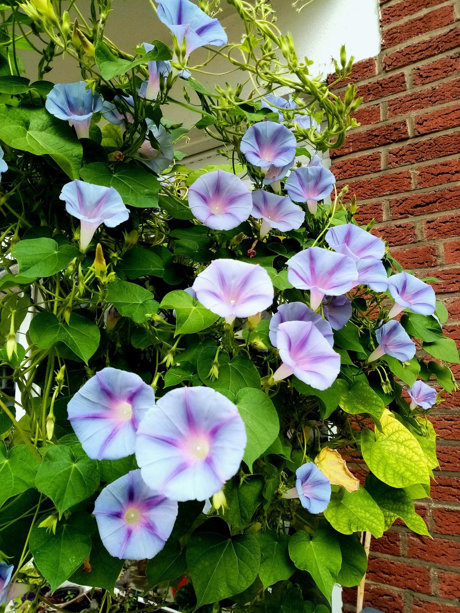 Taylor Sterling tweet media