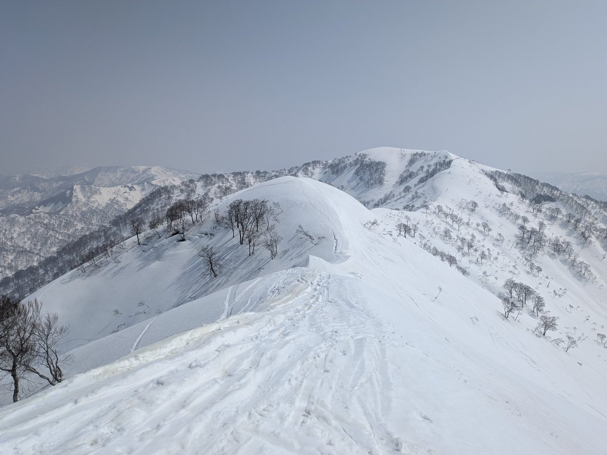 ばたこ tweet media