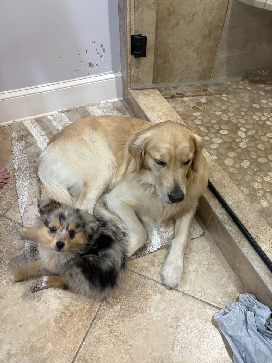 fat bae on 22’s tweet media