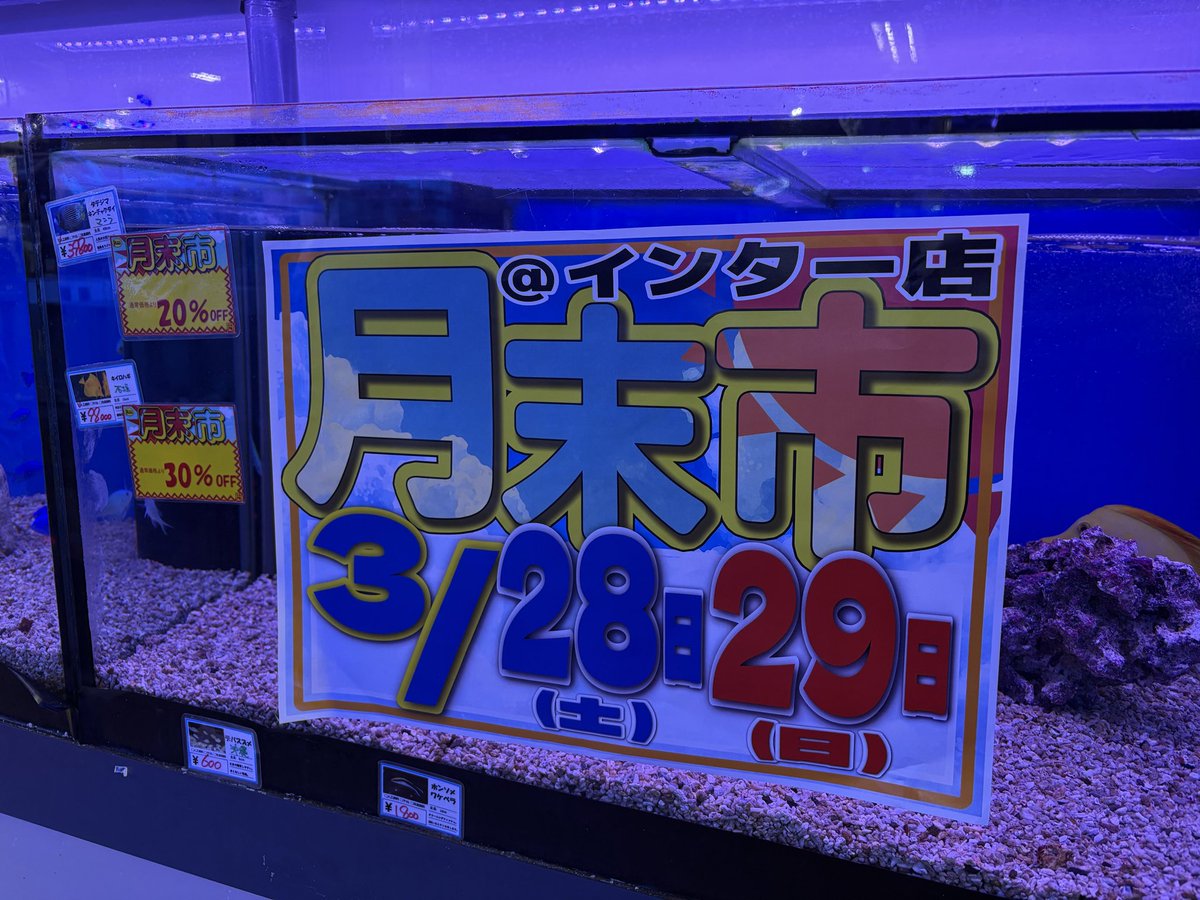 マリン@リミックスインター店 tweet media