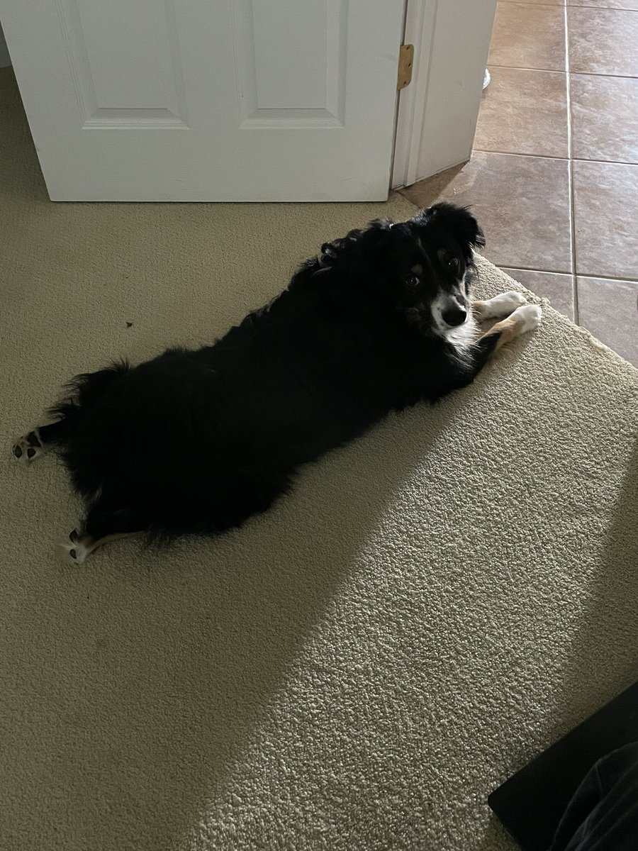 Darren Martin tweet media