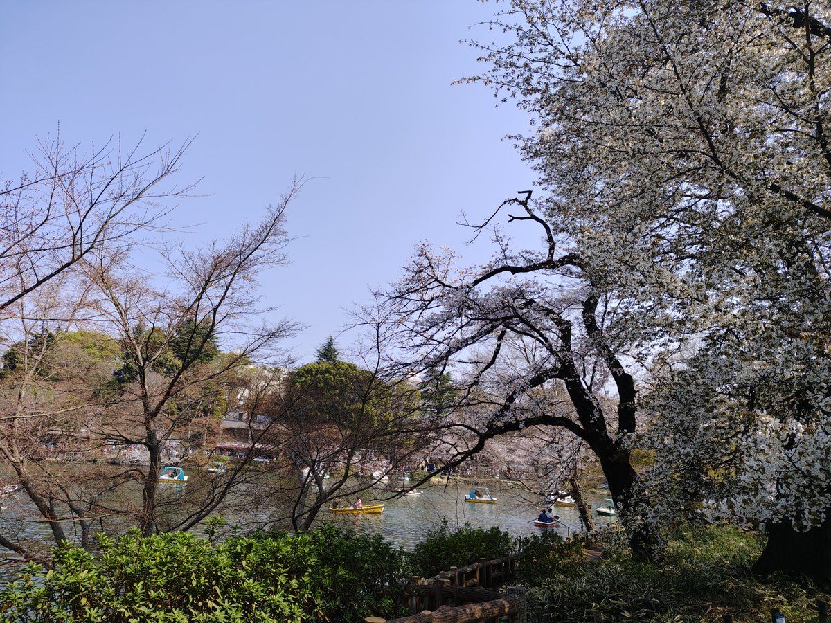 ジョナ tweet media