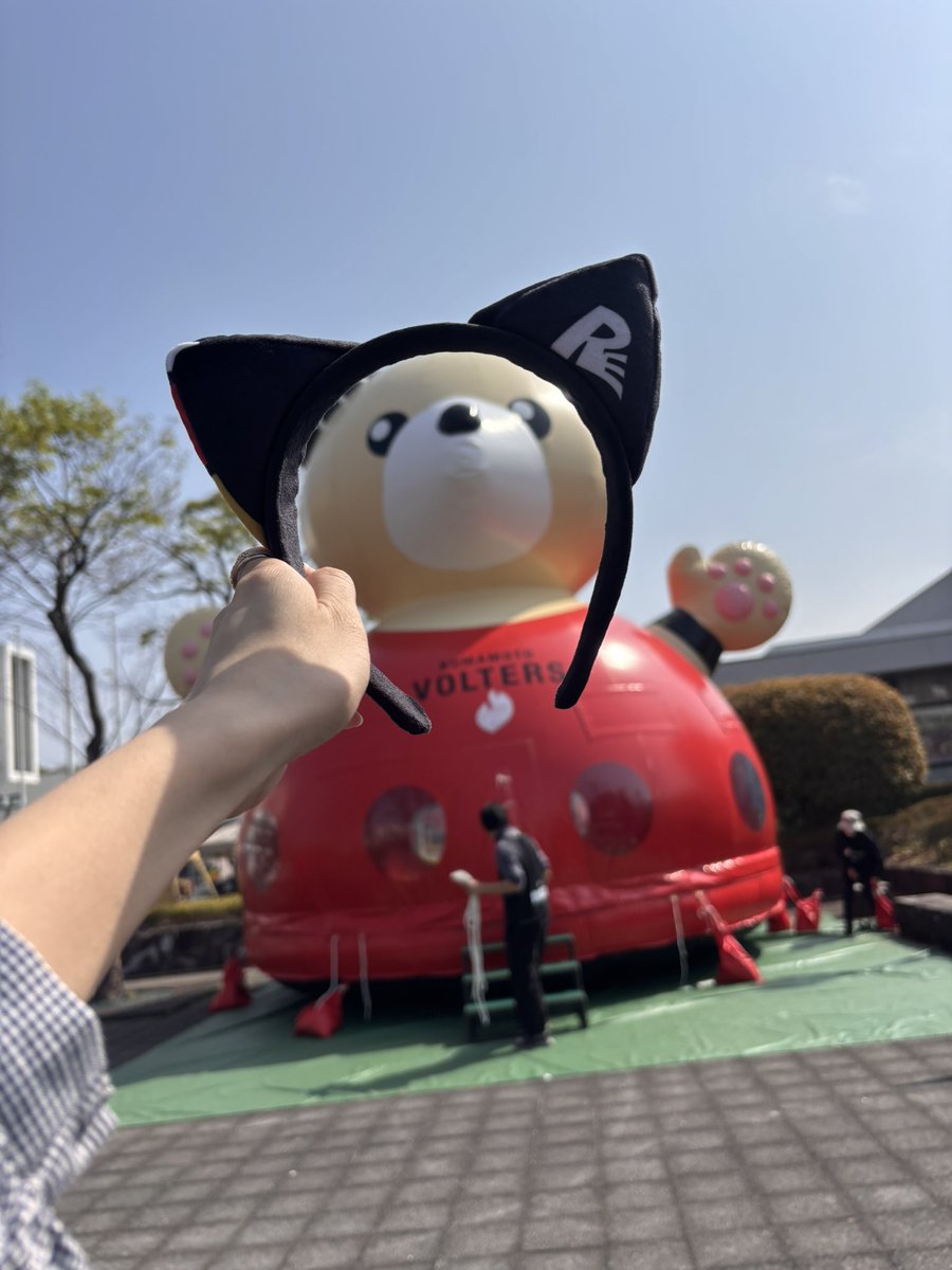 なつみ🐰 tweet media