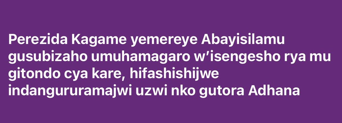 The Bridge Magazine tweet media