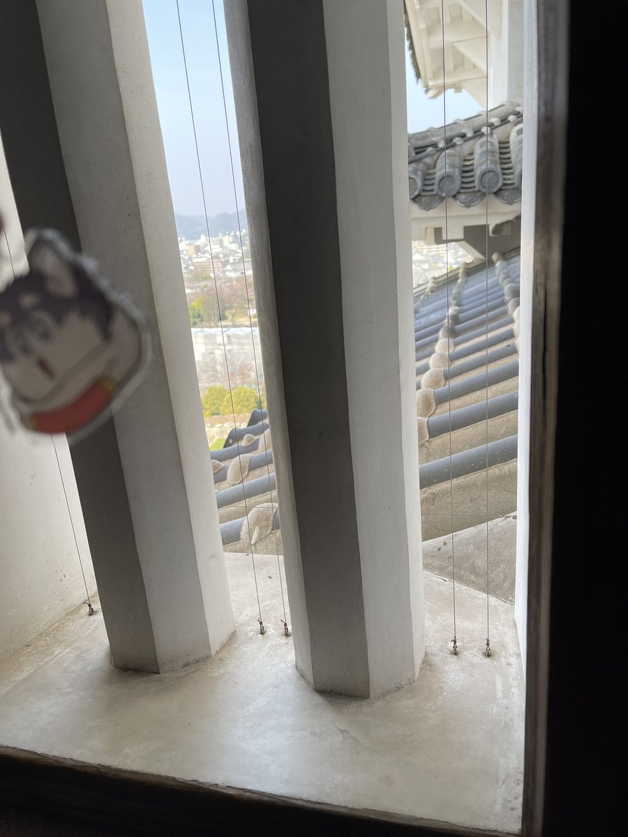 杉野大雅 tweet media