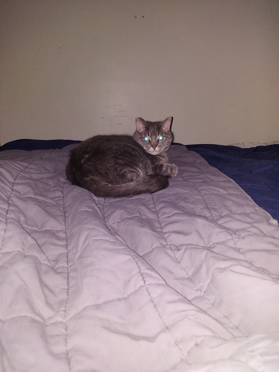 Gil Ryu 🎪🤡 🎩 Vtuber tweet media