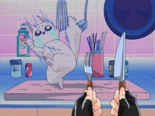 Sir Mushroom 🐖🐕 tweet media