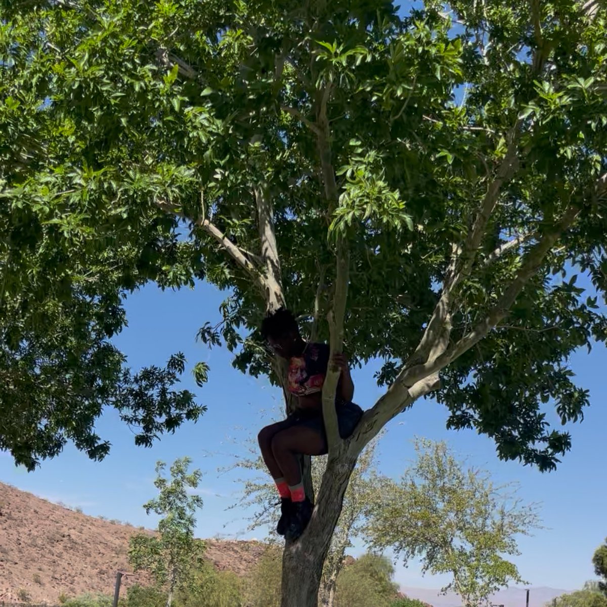 IT’S MOE 2.0👽 tweet media