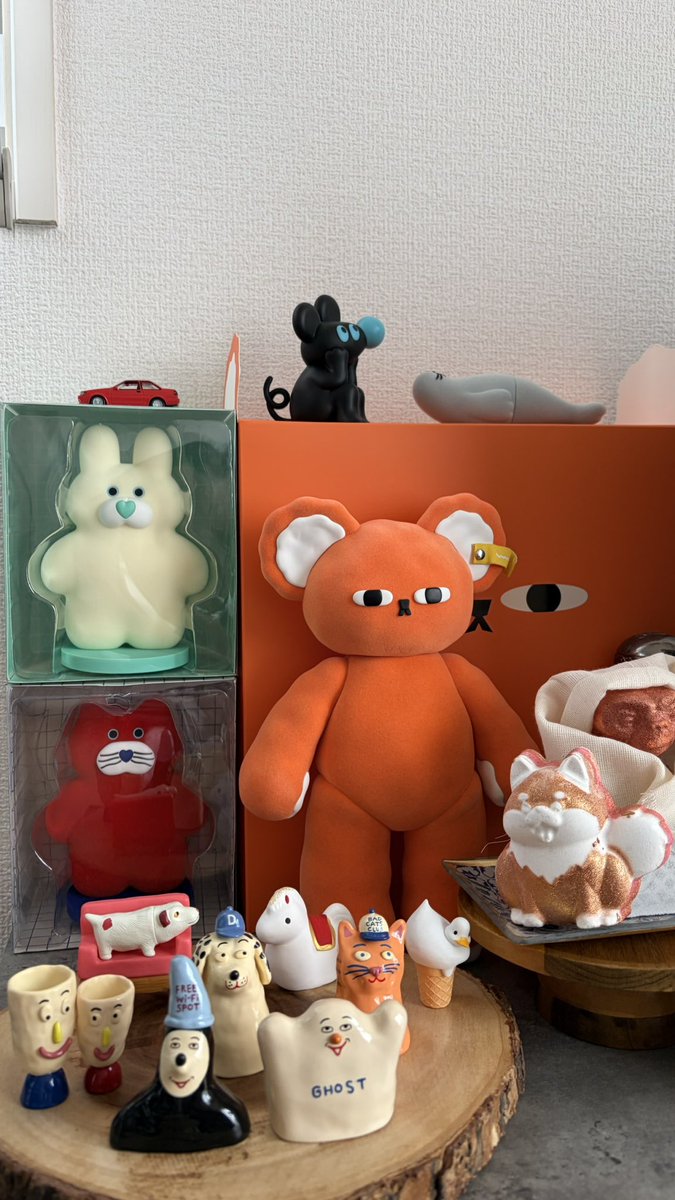 今日は家も爬虫類もメンテ🧹