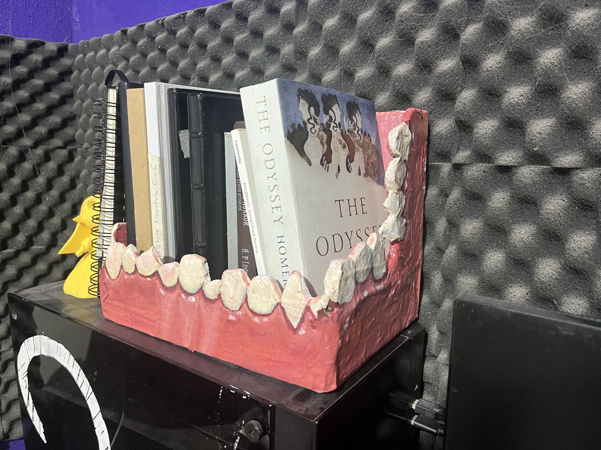 I have created the worlds most questionable bookshelf