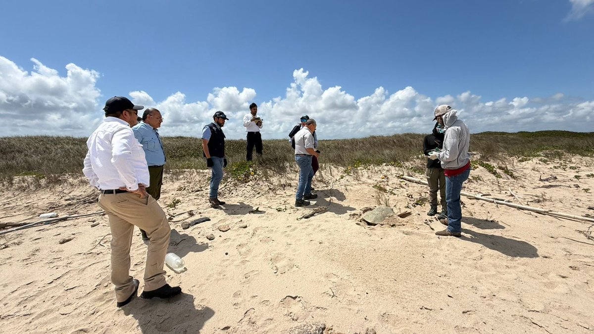 SEMARNAT México tweet media