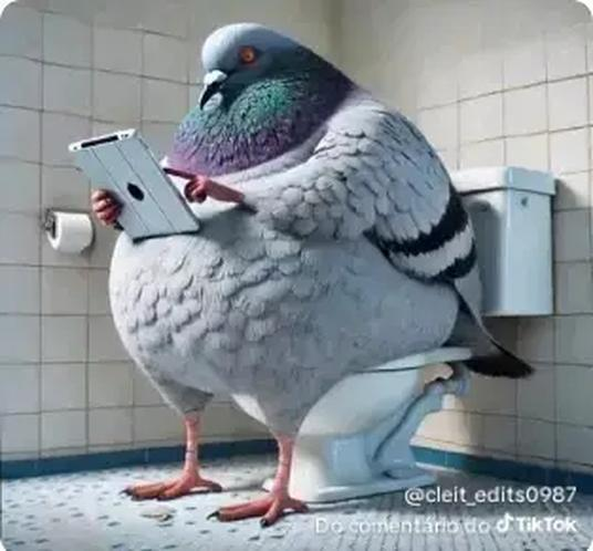 nevesfnbr tweet media