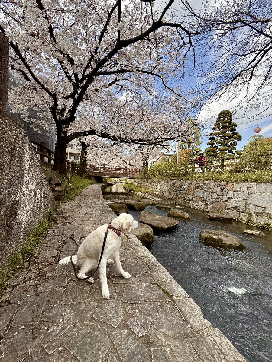 Takashi Oi tweet media