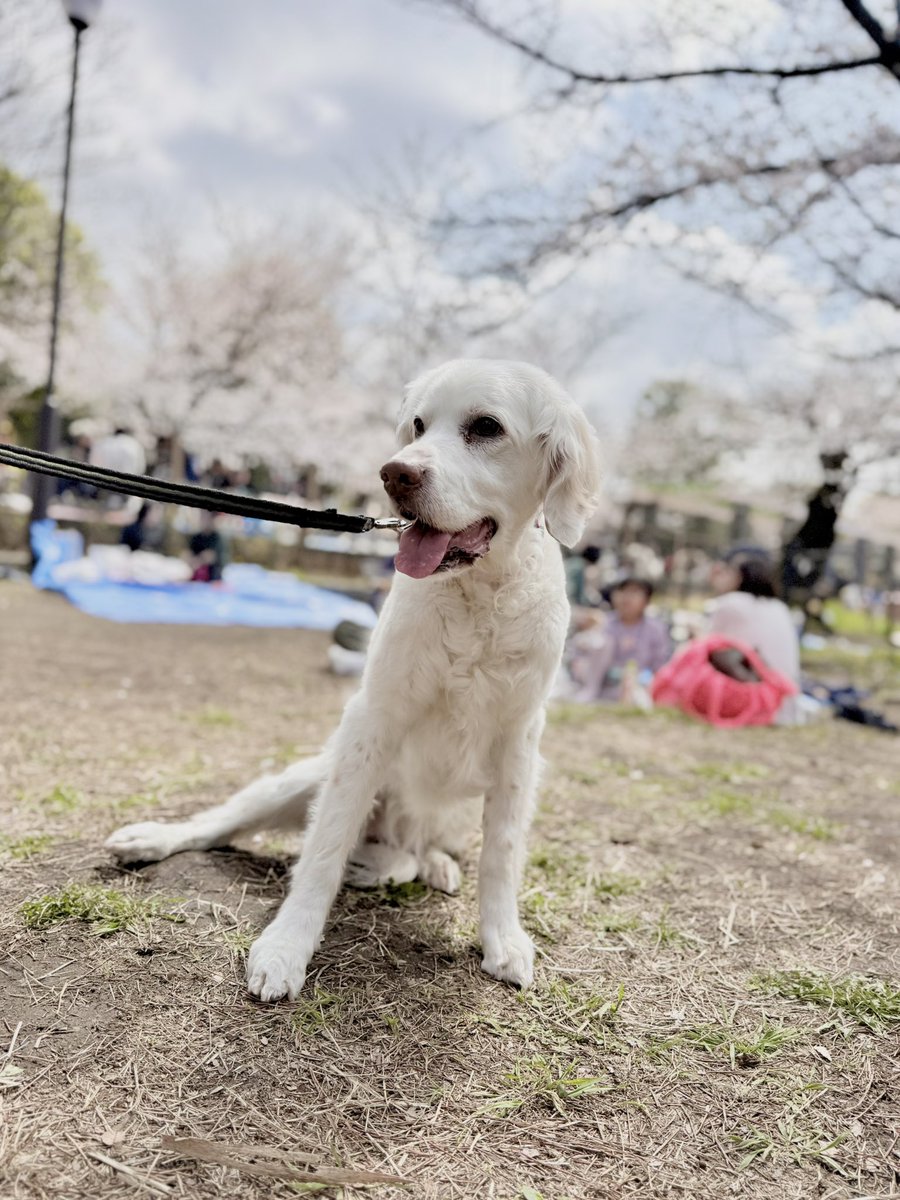 Takashi Oi tweet media