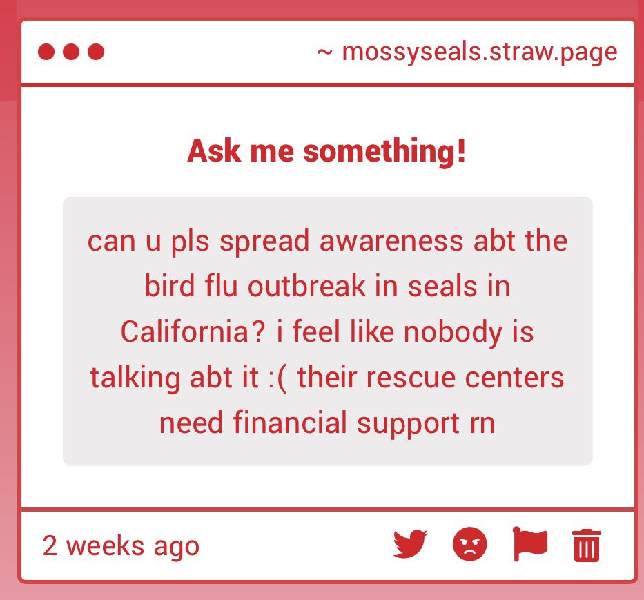 january febuary moss april .𖥔 ݁ ˖ tweet media