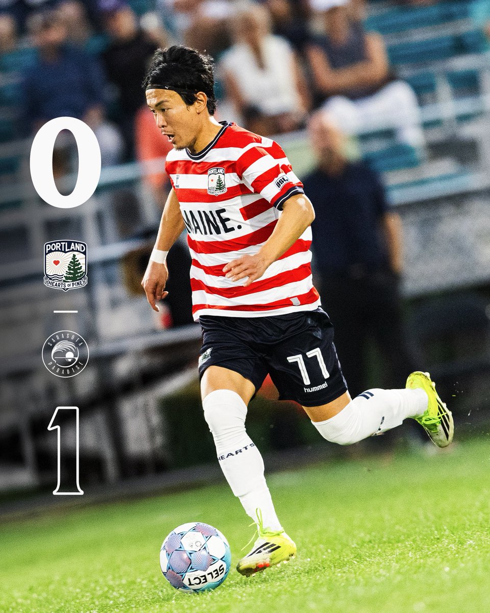 Portland Hearts of Pine tweet media