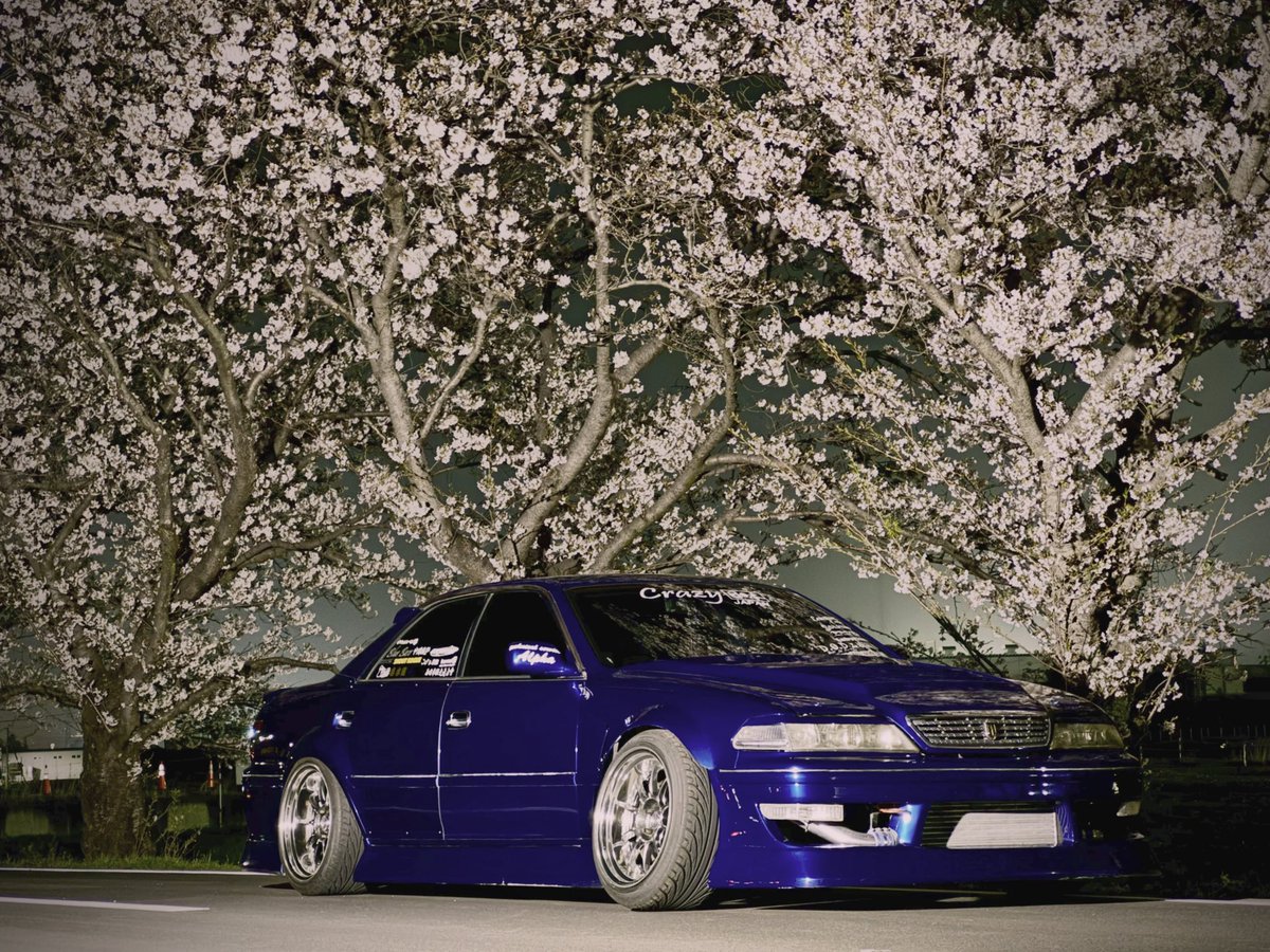 杏奈ʕ·͡·ʔくますけ tweet media