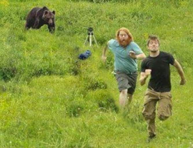 murphfrommidway's tweet photo. They're waking up. Prepare yourselves or bring your slower friend. #BearAware https://t.co/bBnFcpWhX0