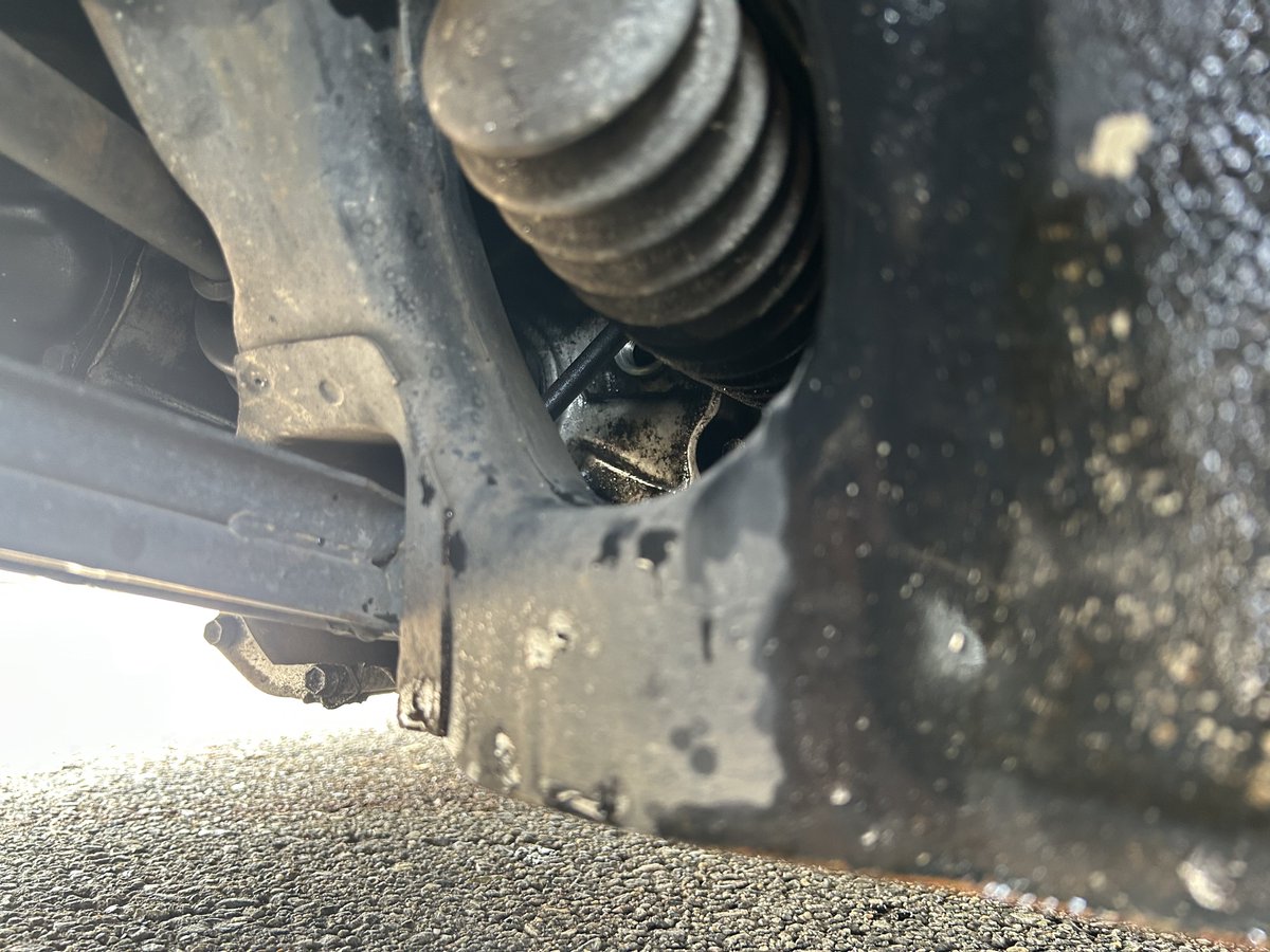 メジロティーガー tweet media