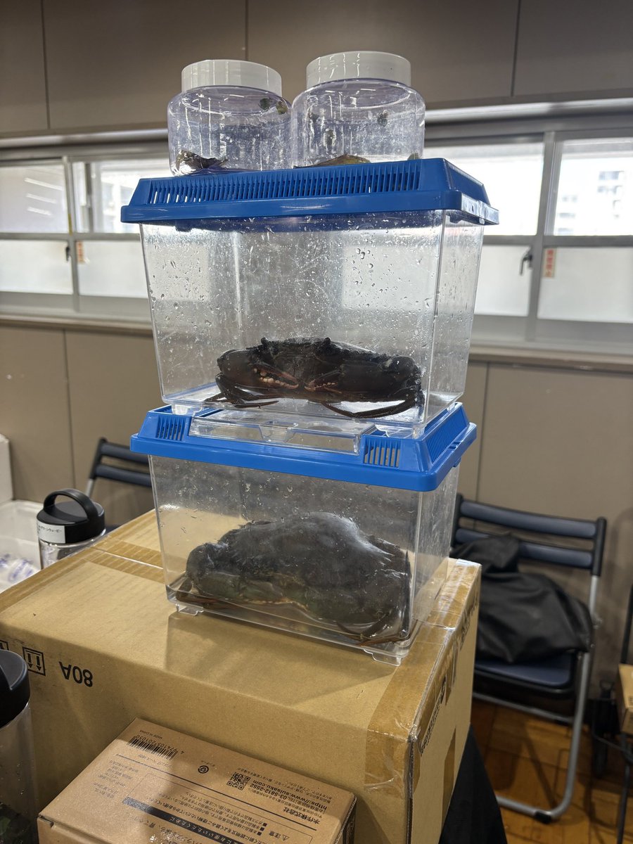 日本カニ協会 3/29アクアリウムバス tweet media