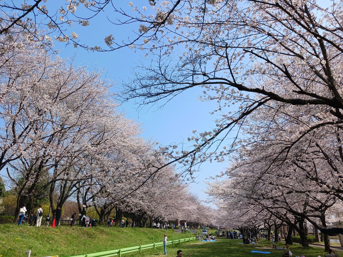 春だねぇ