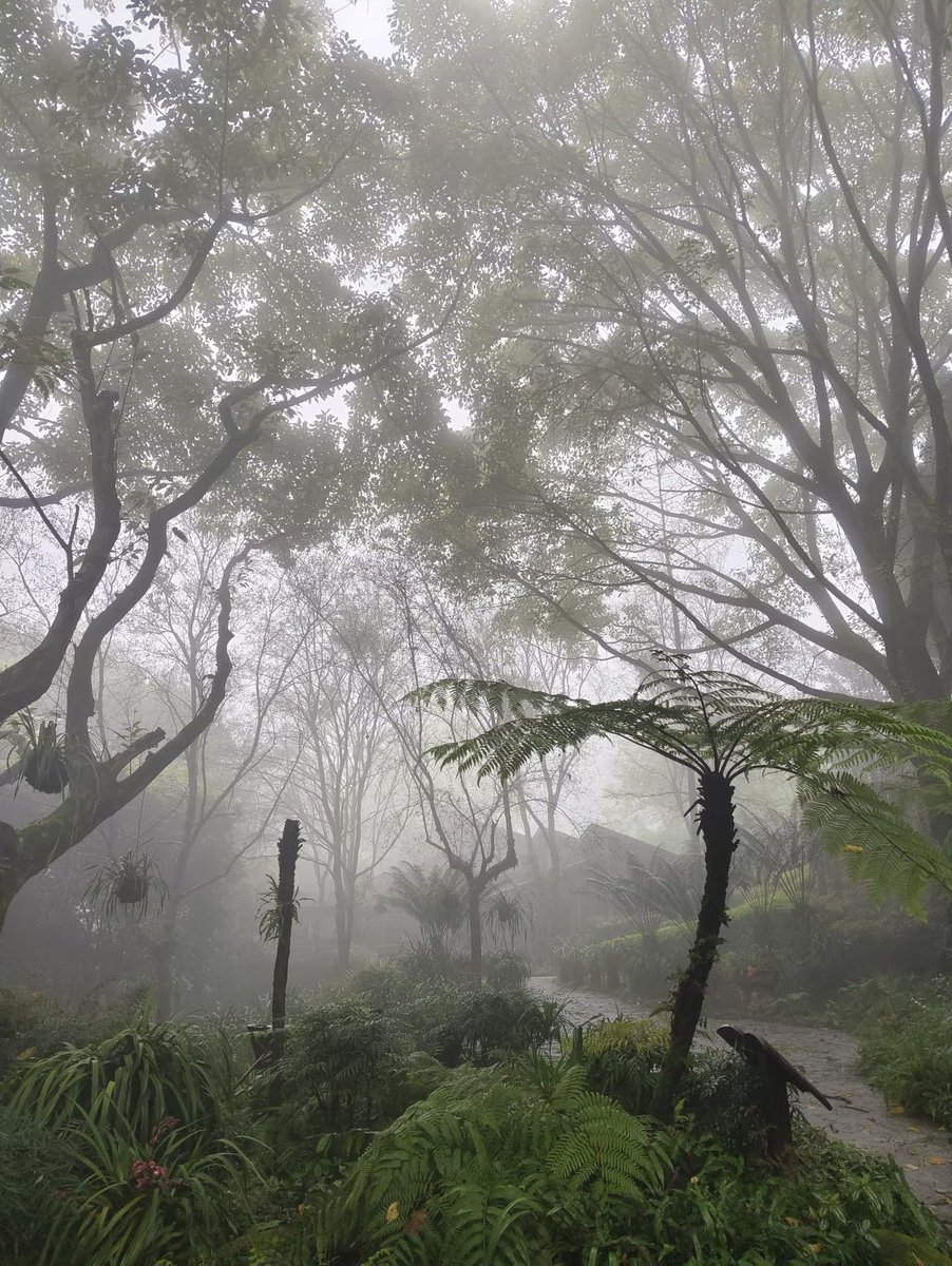 要可乐 tweet media