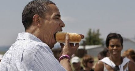 EleventySigma CygnusAtratus tweet media