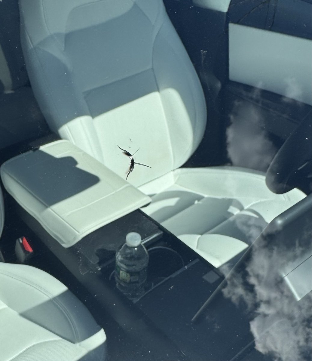 Bernd Boettger tweet media