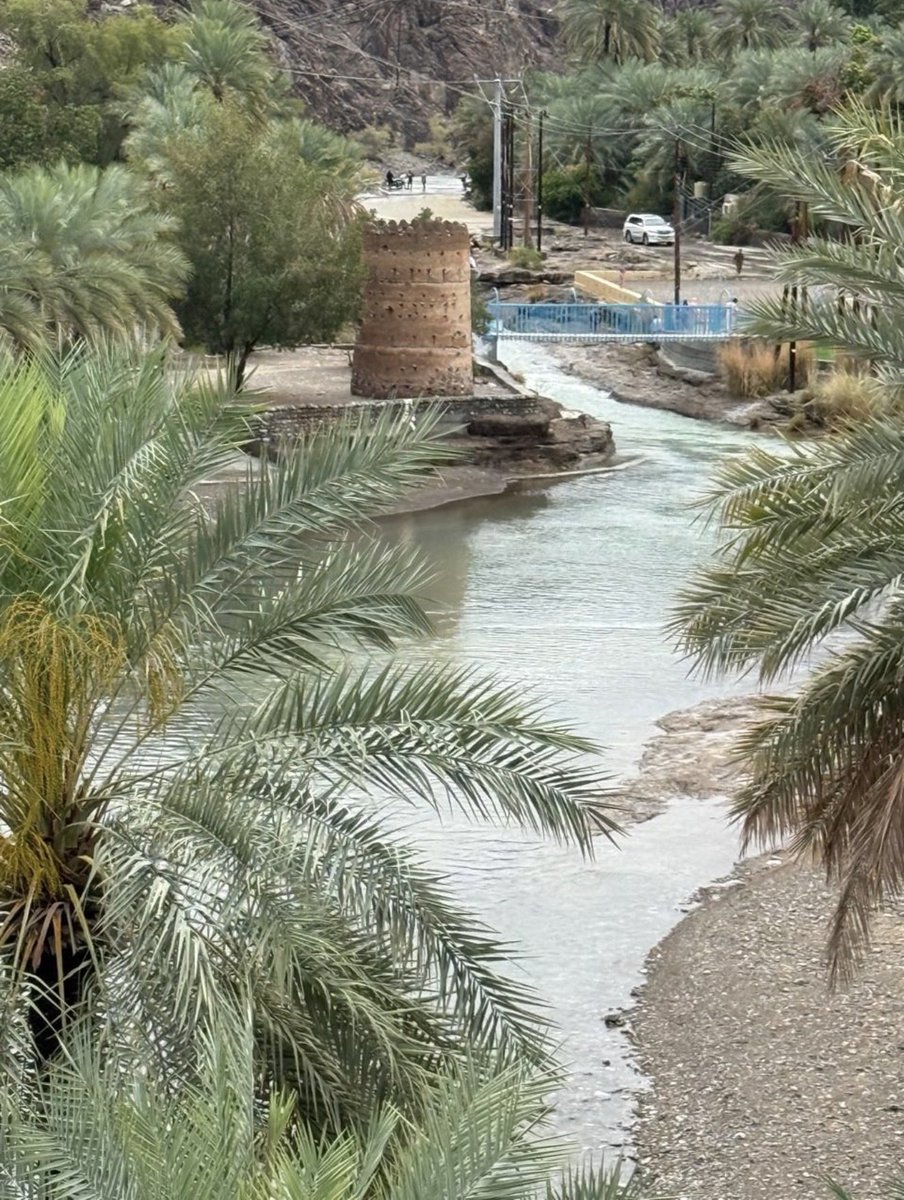 🫀❥ մɹɹɹɡᓄ  tweet media