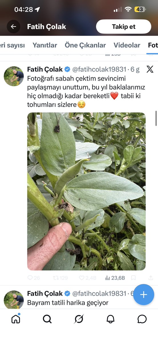 Lütfi Polat tweet media