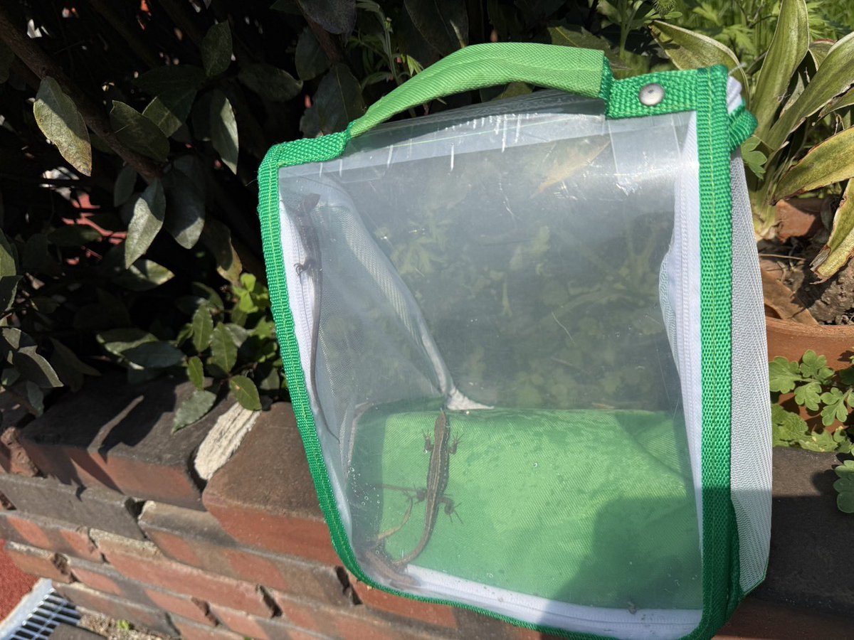 寺島 進 -OFFICIAL- tweet media