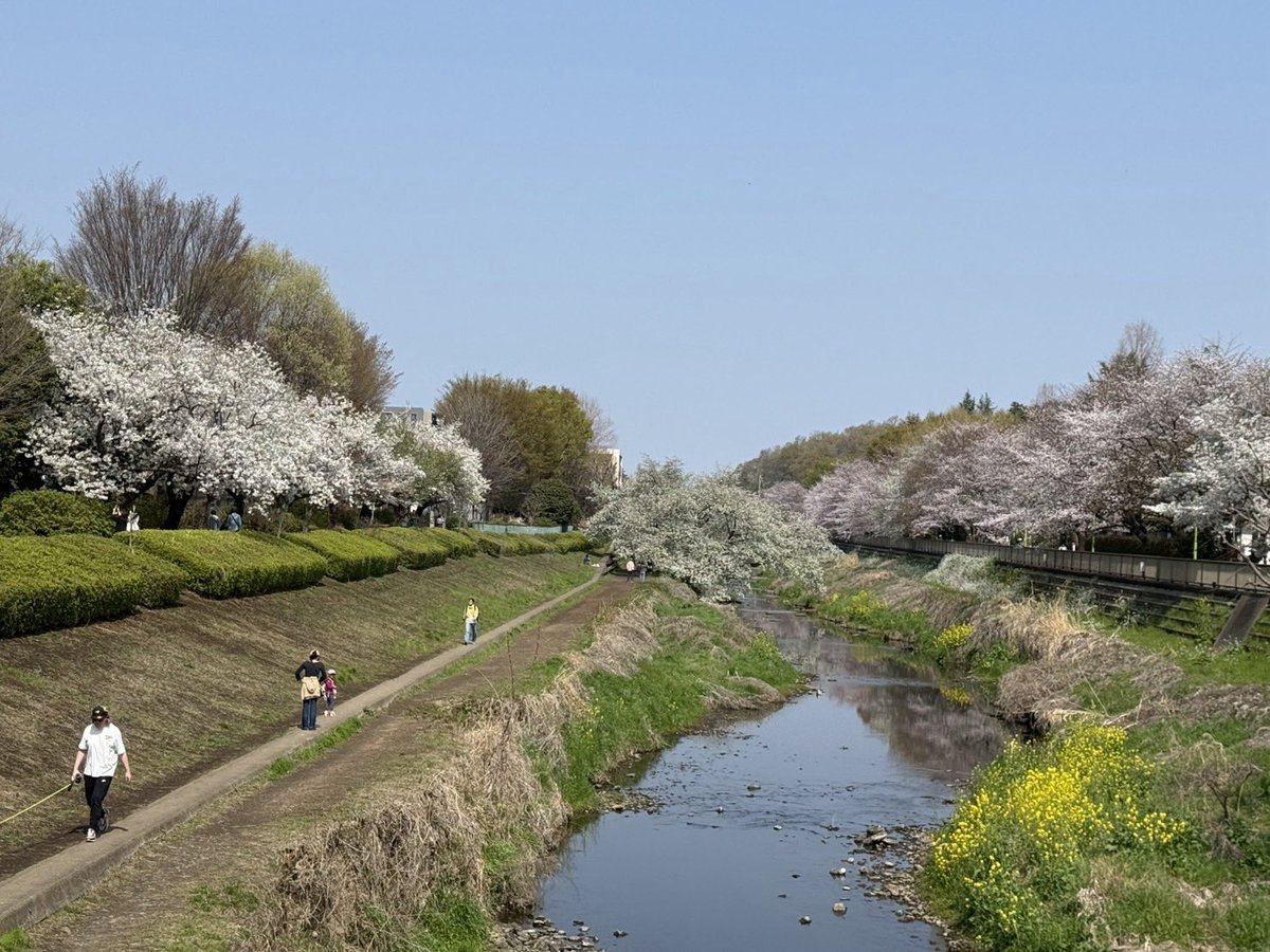 寺島 進 -OFFICIAL- tweet media