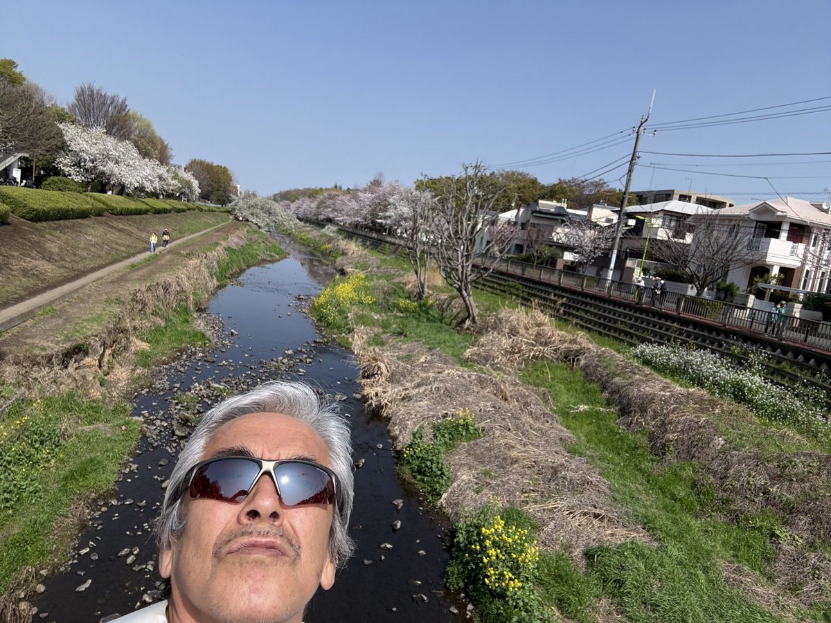 寺島 進 -OFFICIAL- tweet media