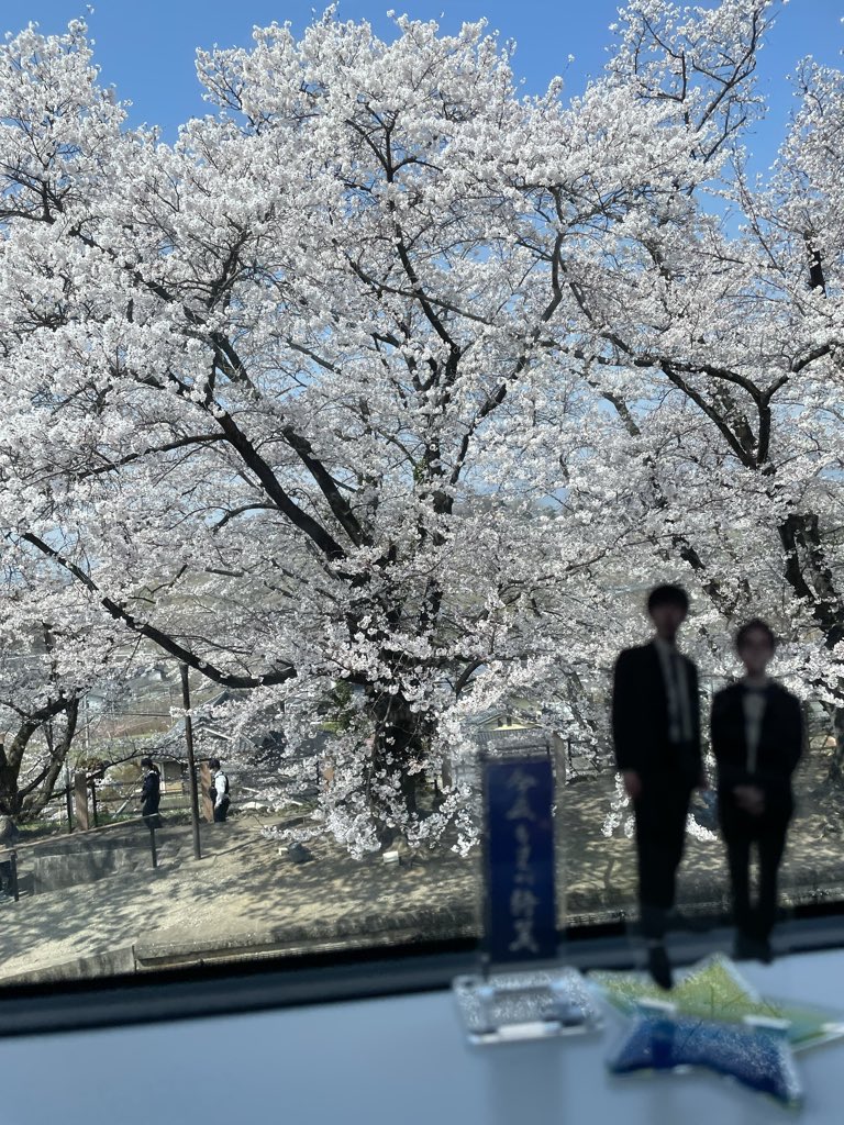 けい☆ tweet media