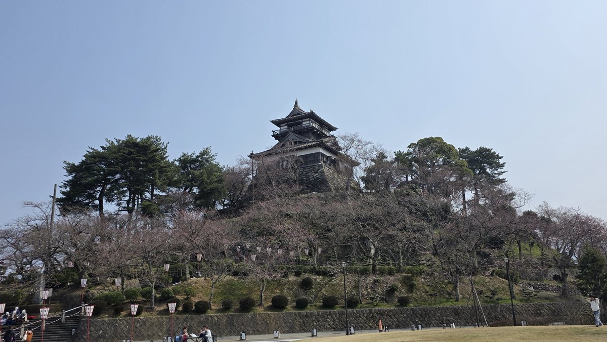 Fun Runner🐈️Rossa tweet media