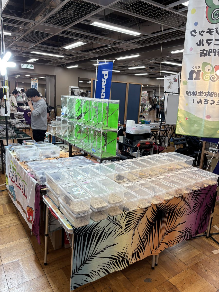 lien（リアン） 4月11日BS‼️ tweet media