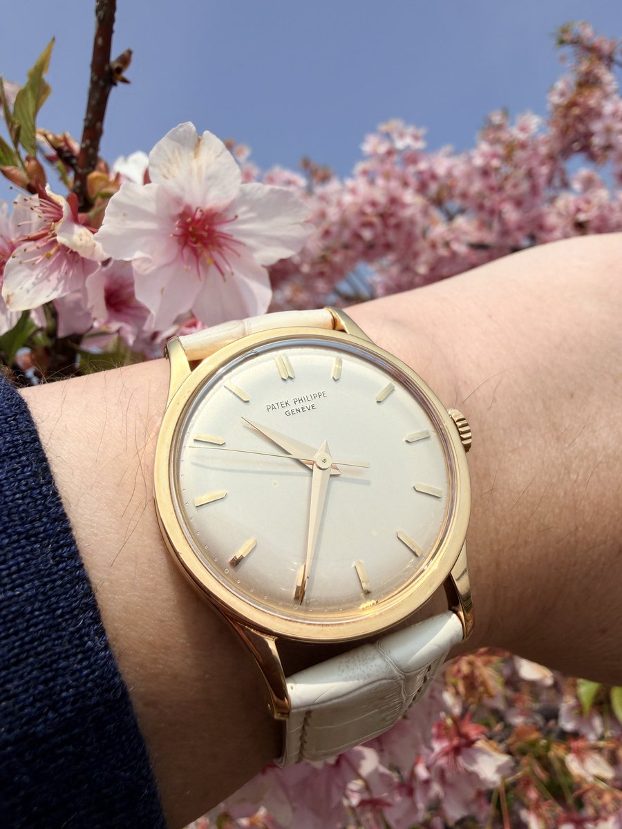 超はみんぐ！ tweet media