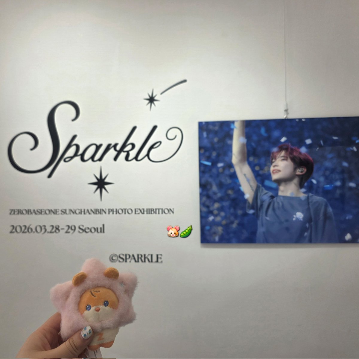 햄깍지🐹🫛 tweet media