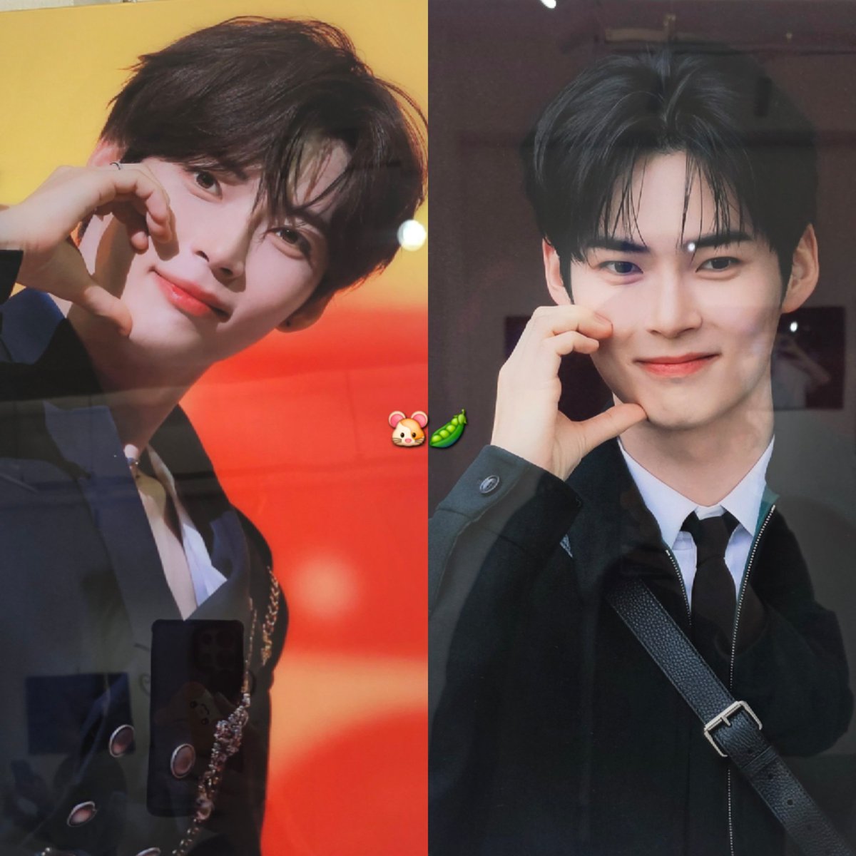 햄깍지🐹🫛 tweet media