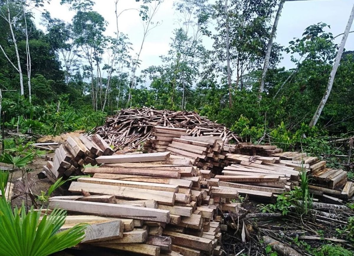 Peter Clack tweet media