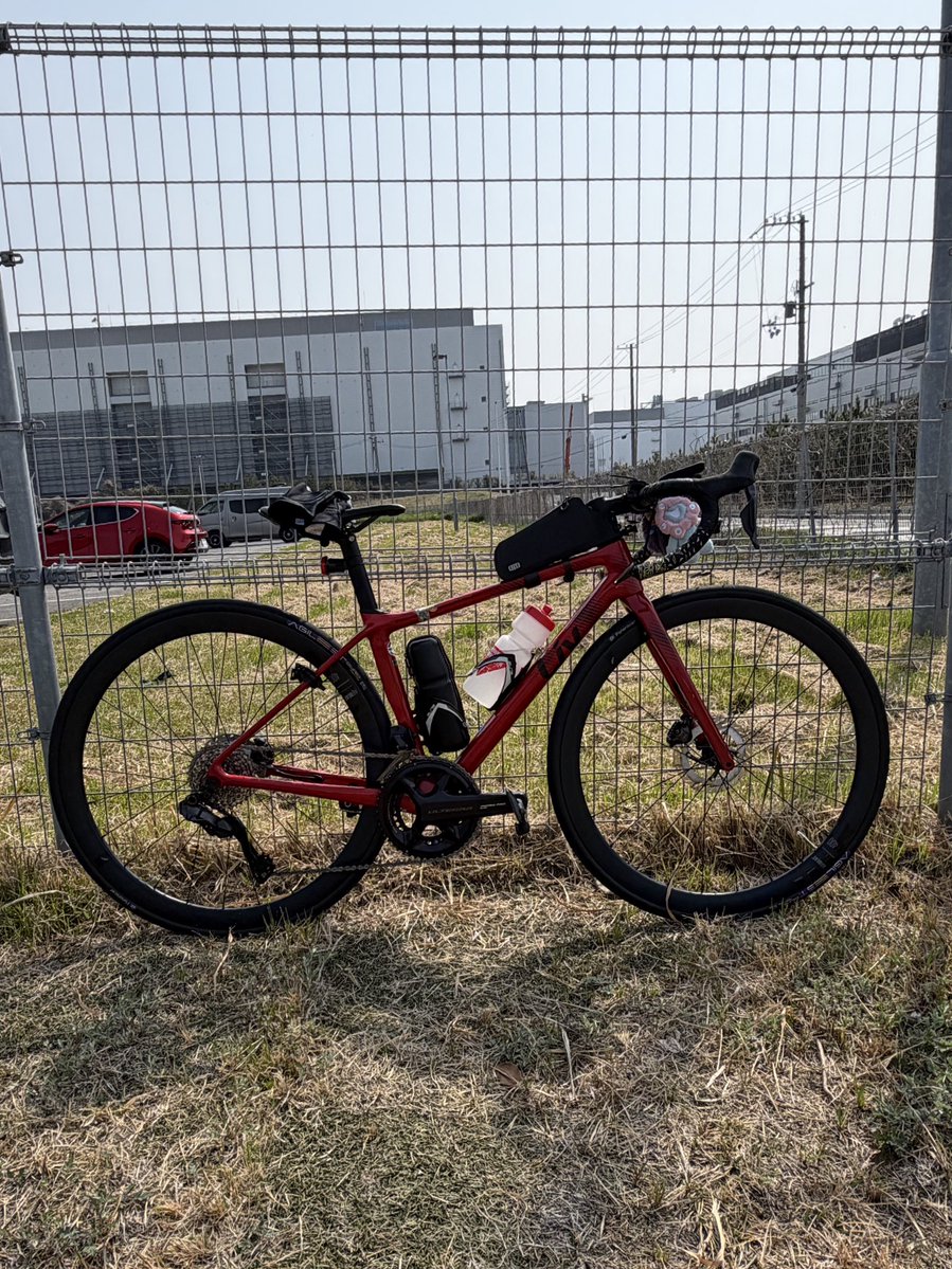 ヤモリスター☢️ tweet media